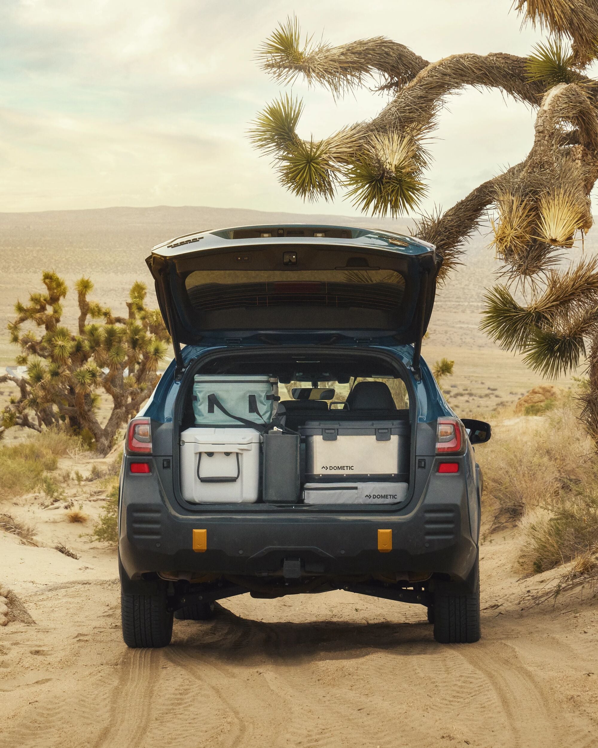 Dometic Hard Storage 50 - Aluminium - Lifestyle