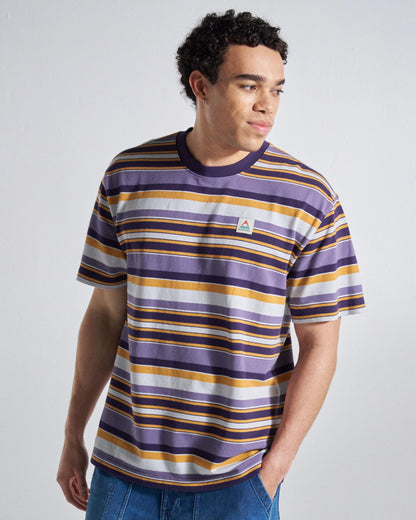 Wild Pine Stripe T-Shirt - Heather Multi Stripe - Studio Model