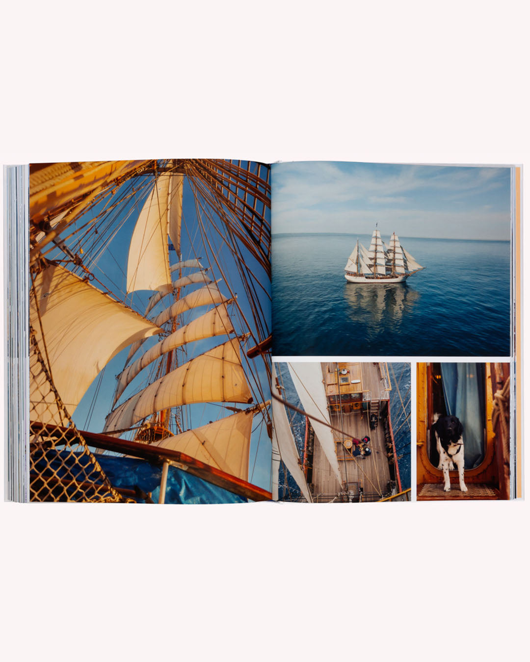 Boatlife - Flatlay